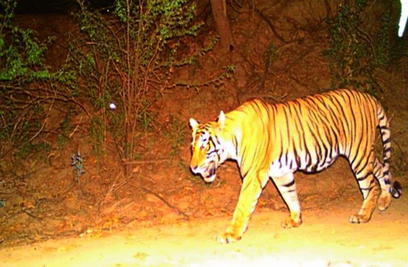 सांकेतिक तस्वीर।